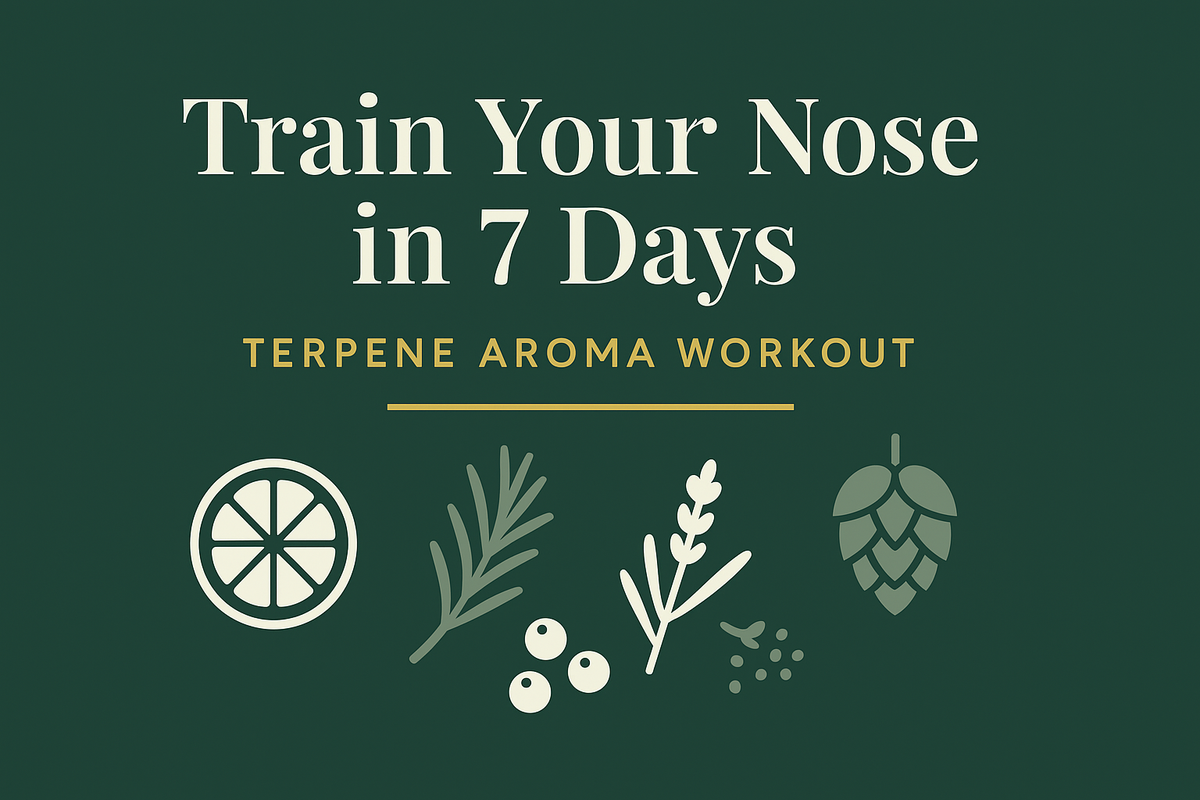 Cover graphic reading “Train Your Nose in 7 Days — Terpene Aroma Workout” on dark green with gold accents, featuring icons of a lemon slice, rosemary sprig, peppercorns/cloves, and a hop cone.