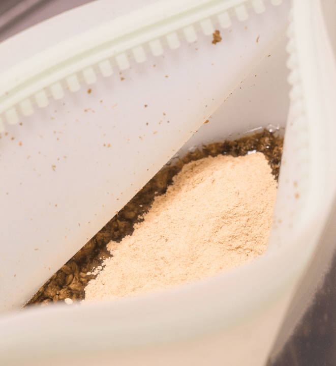 Lecithin: What It Is and Why You Should Add It to Your Infusions