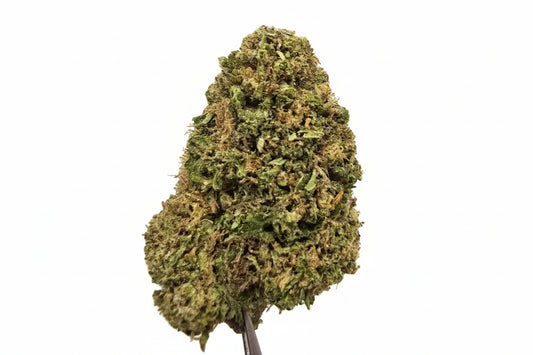 Cheetoz (25.839%) THCa Flower