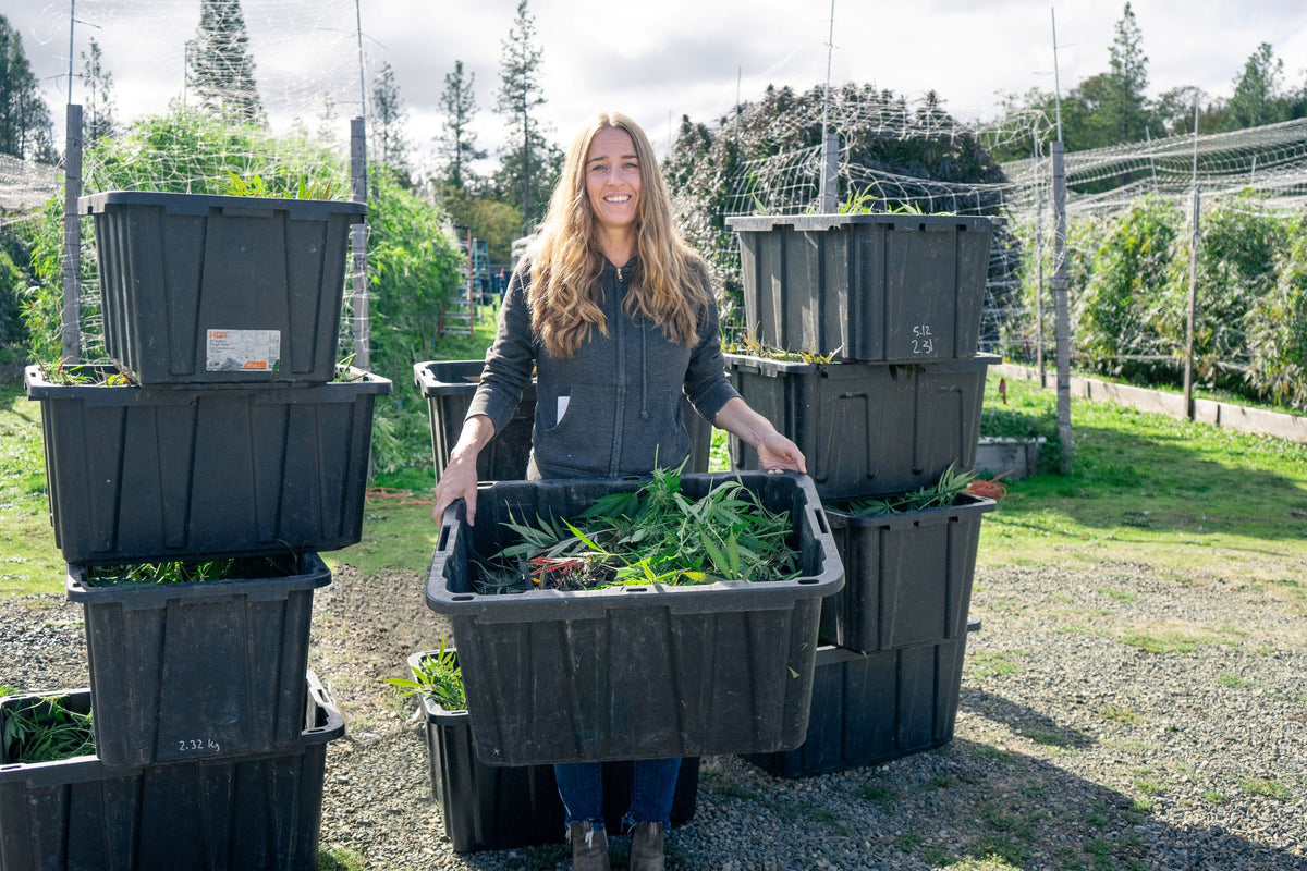 CannaFuse founder Kristine Miller
