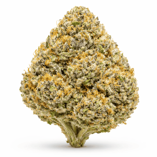 Pineapple Macroon THCa Flower