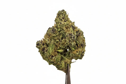 Sin Mintz (26.07%) THCa Flower