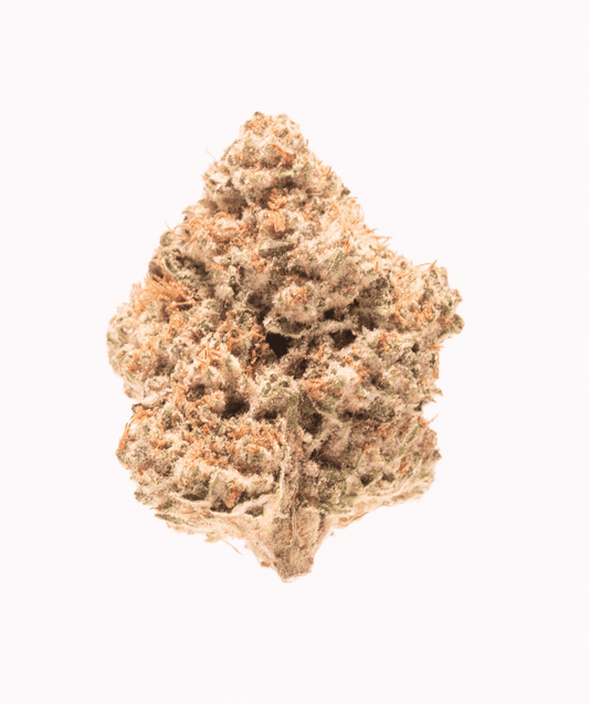 Infusion Kit + 2 Oz. B Bud/Smalls