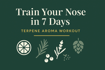 Cover graphic reading “Train Your Nose in 7 Days — Terpene Aroma Workout” on dark green with gold accents, featuring icons of a lemon slice, rosemary sprig, peppercorns/cloves, and a hop cone.