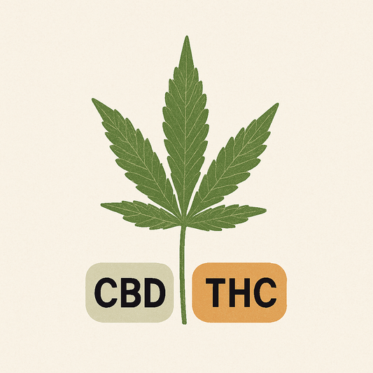 Understanding the Differences Between CBD and THC
