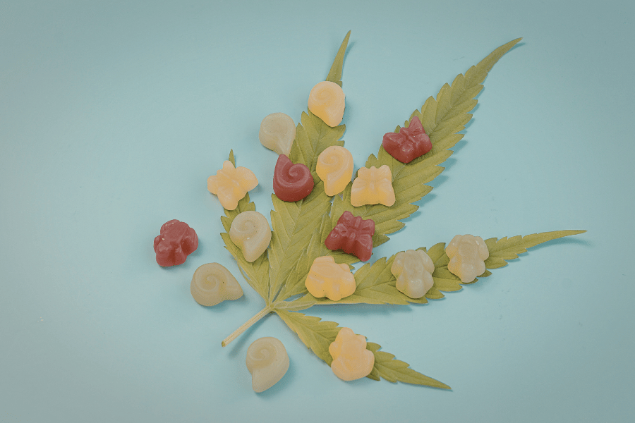 cannabis gummies made with infused oil on leaf background