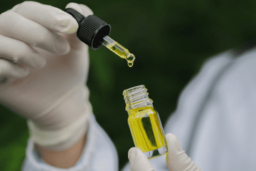 Golden cannabis-infused oil being dispensed with dropper into glass bottle, illustrating infused oil color and clarity differences