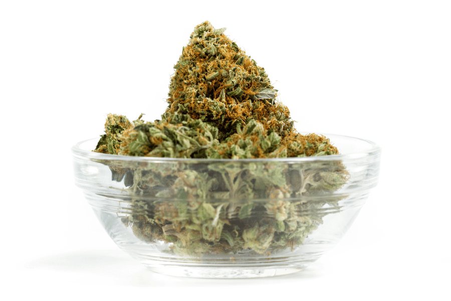 THCA flower buds in a glass bowl showing proper moisture balance for successful cannabis oil infusion