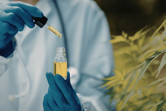 consistent cannabis infusion process with oil and edibles preparation