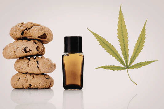 cannabis infused oil bottles showing variation in aroma and consistency