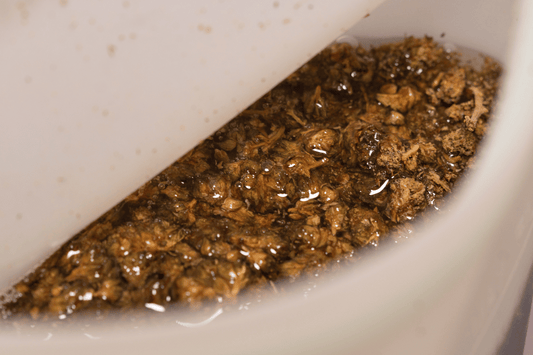 Ground cannabis flower steeping in oil during the infusion process.