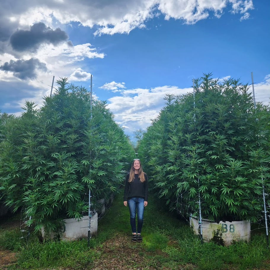 Kristine in her sun-grown field in Southern Oregon