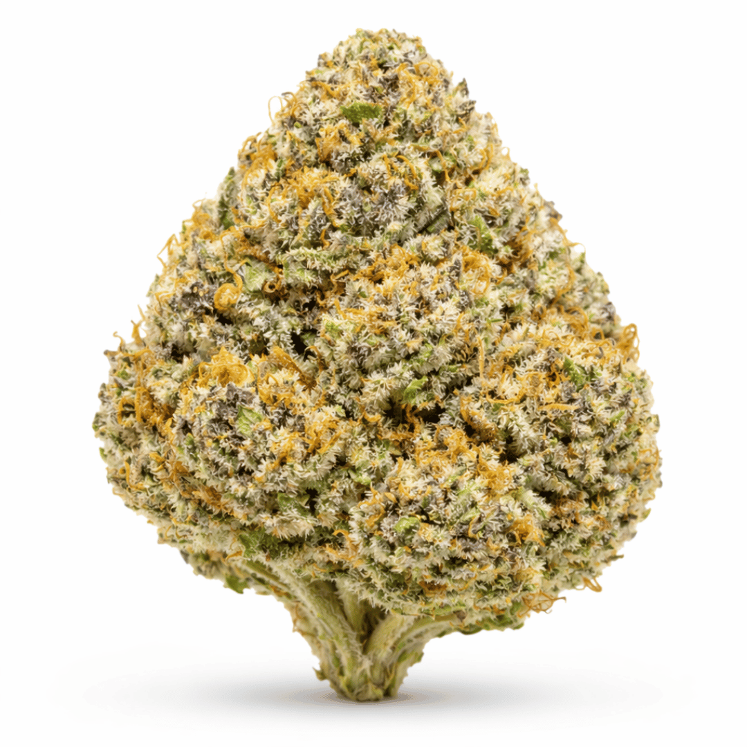 Pineapple Macroon THCa Flower