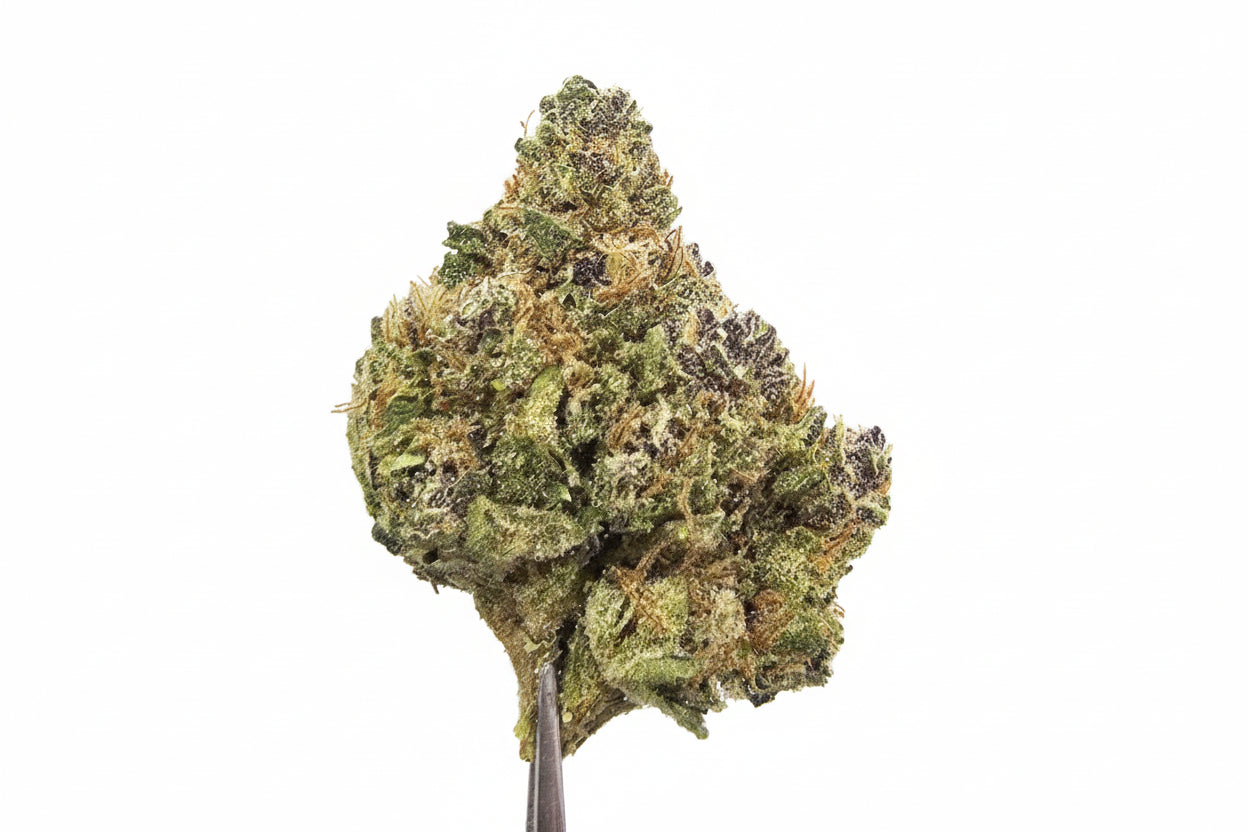 Sin Mintz (26.07%) THCa Flower