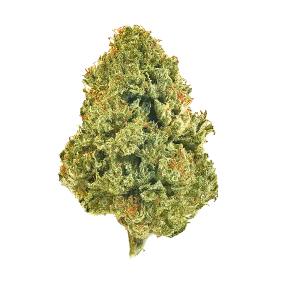 Mule Fuel (30.37%) THCa Flower