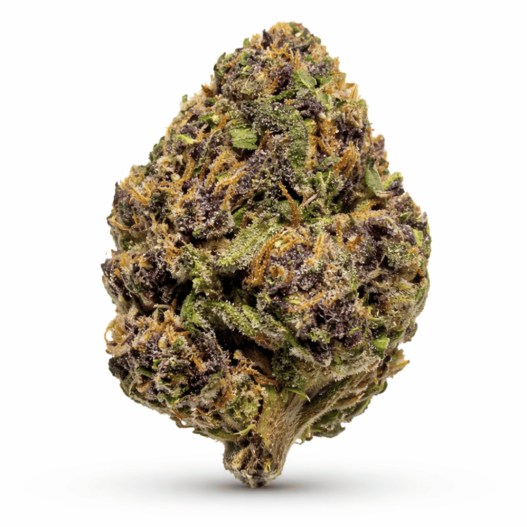 Purple GMO (26.074%) THCa Flower